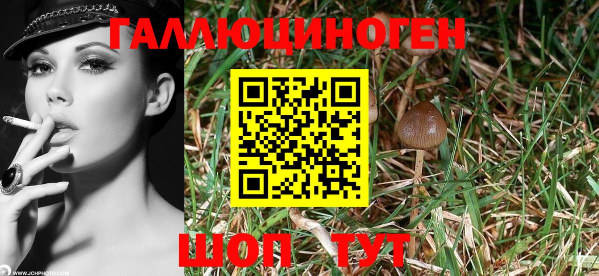 Меф Балахна