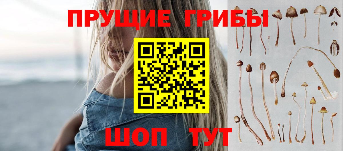 Галлюциногенные грибы Psilocybe Балахна